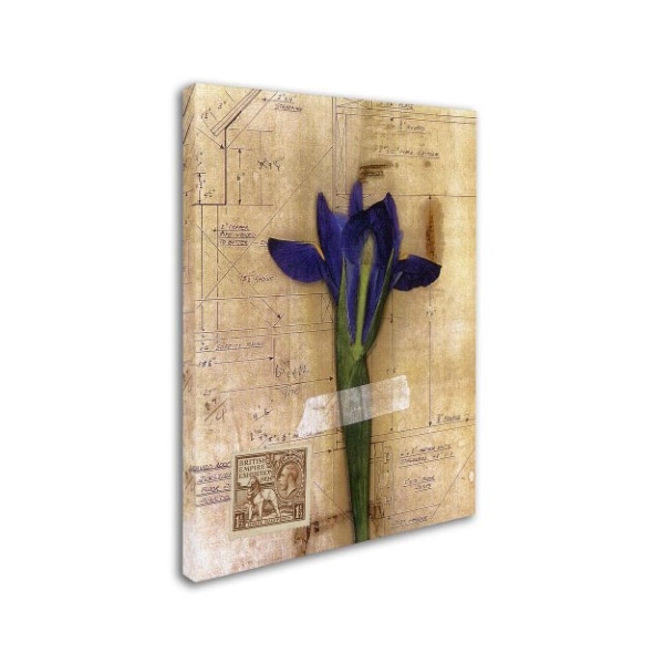 Nick Bantock 'Iris Plan' Canvas Art,18x24